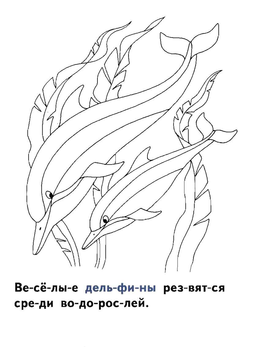 Название: Раскраска Дельфинчики. Категория: морское. Теги: Подводный мир, рыба, дельфин.