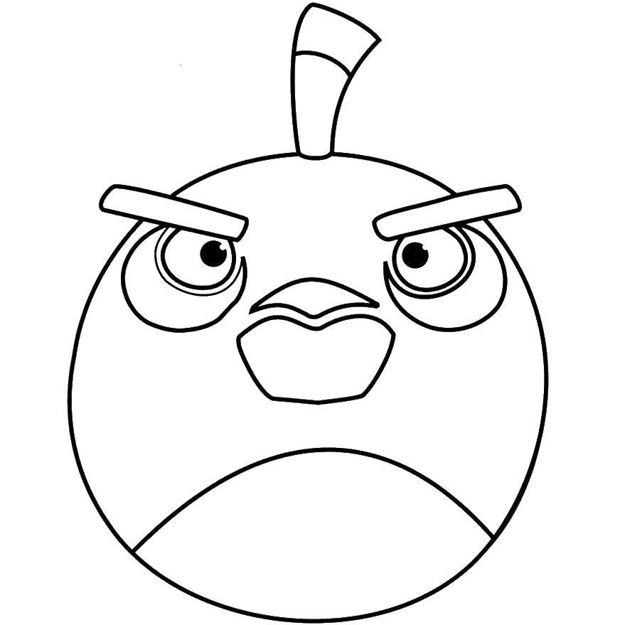 Раскраска Птичка из angry birds  Скачать ,Игры, Angry Birds ,.  Распечатать 