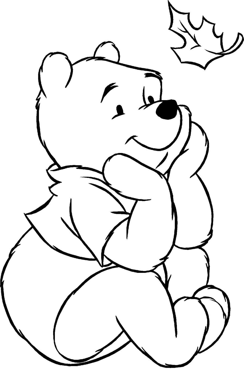 Название: Раскраска Винни пух. Категория: Диснеевские раскраски. Теги: Персонаж из мультфильма, Винни Пух.