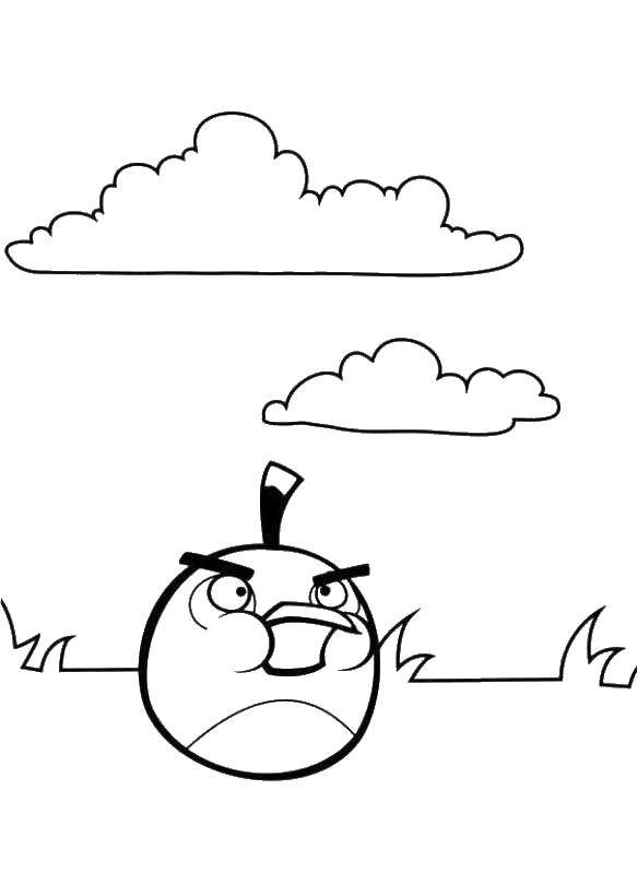 Раскраска Птичка из angry birds  Скачать ,Игры, Angry Birds ,.  Распечатать 