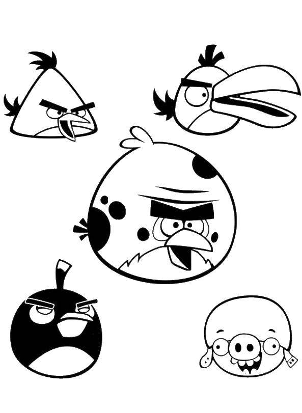 Раскраска angry birds Скачать .  Распечатать 