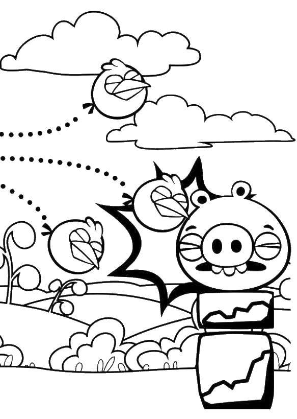 Название: Раскраска Птичка сбивает свинью. Категория: angry birds. Теги: Игры, Angry Birds .