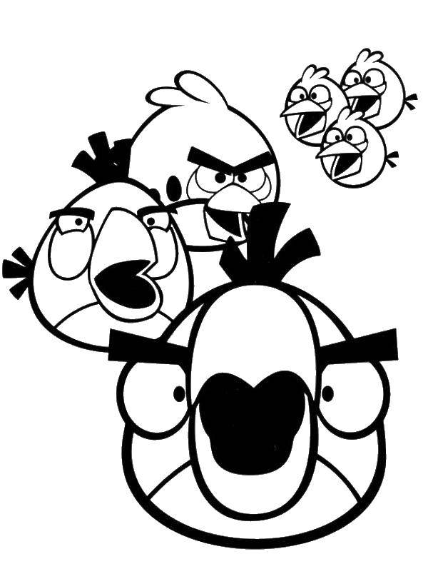 Название: Раскраска Птички из angry birds . Категория: angry birds. Теги: Игры, Angry Birds .