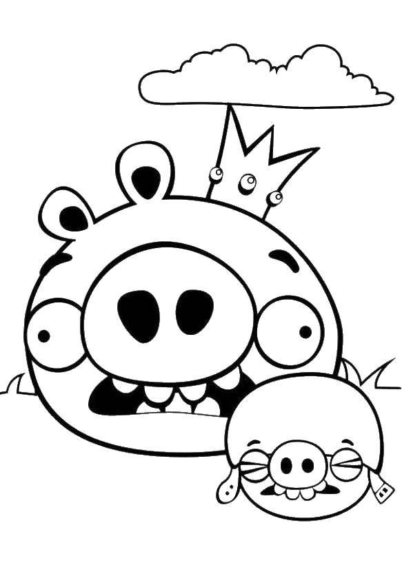 Название: Раскраска Свиньи из angry birds боятся. Категория: angry birds. Теги: Игры, Angry Birds .