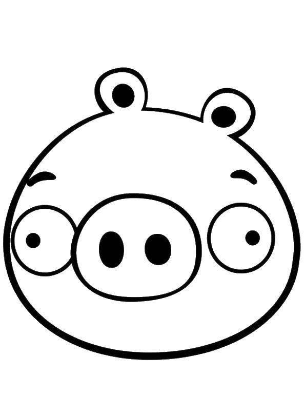 Название: Раскраска Свинья из angry birds. Категория: angry birds. Теги: Игры, Angry Birds .