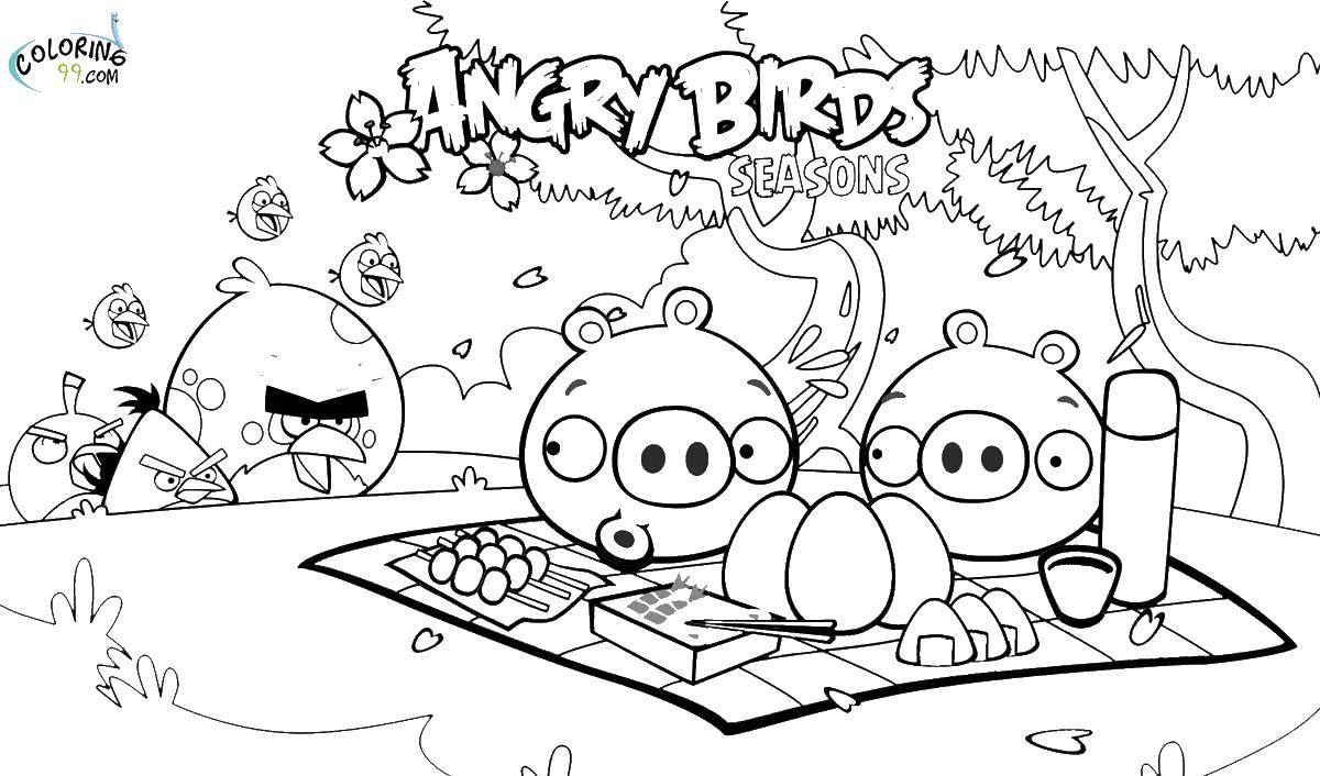 Название: Раскраска  angry birds . Категория: angry birds. Теги: Игры, Angry Birds .
