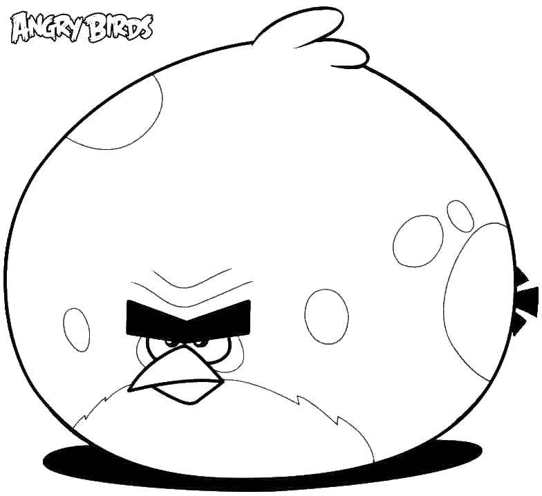Раскраска Большая птичка Скачать ,Игры, Angry Birds ,.  Распечатать 