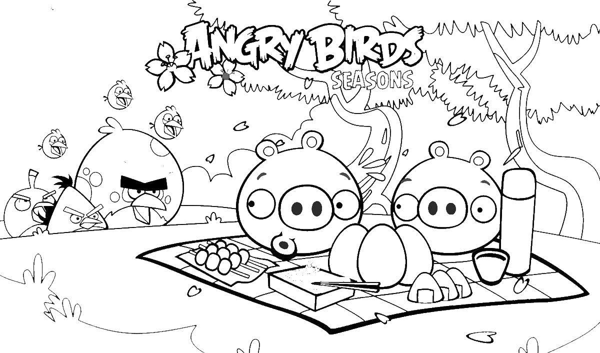 Раскраска  angry birds  Скачать ,Игры, Angry Birds ,.  Распечатать 