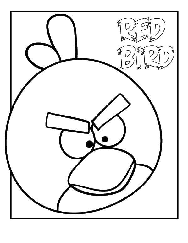 Название: Раскраска Птичка из angry birds . Категория: angry birds. Теги: Игры, Angry Birds .
