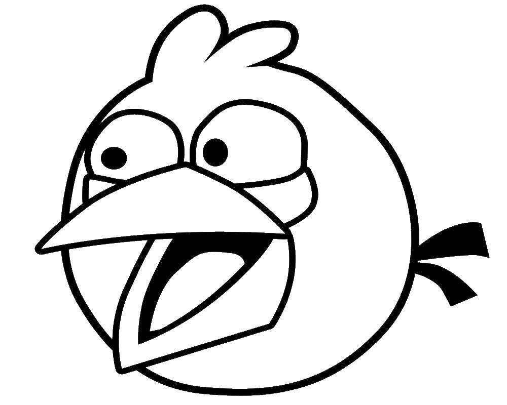 Название: Раскраска Птичка из angry birds . Категория: angry birds. Теги: Игры, Angry Birds .