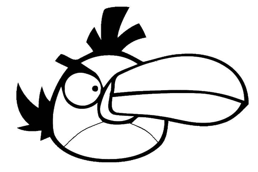 Название: Раскраска Тукан. Категория: angry birds. Теги: Игры, Angry Birds .