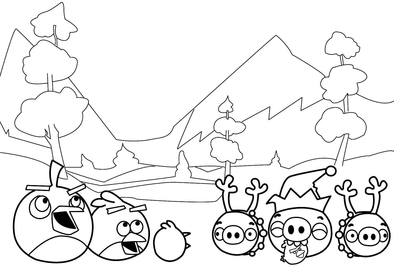 Название: Раскраска  angry birds . Категория: angry birds. Теги: Игры, Angry Birds .