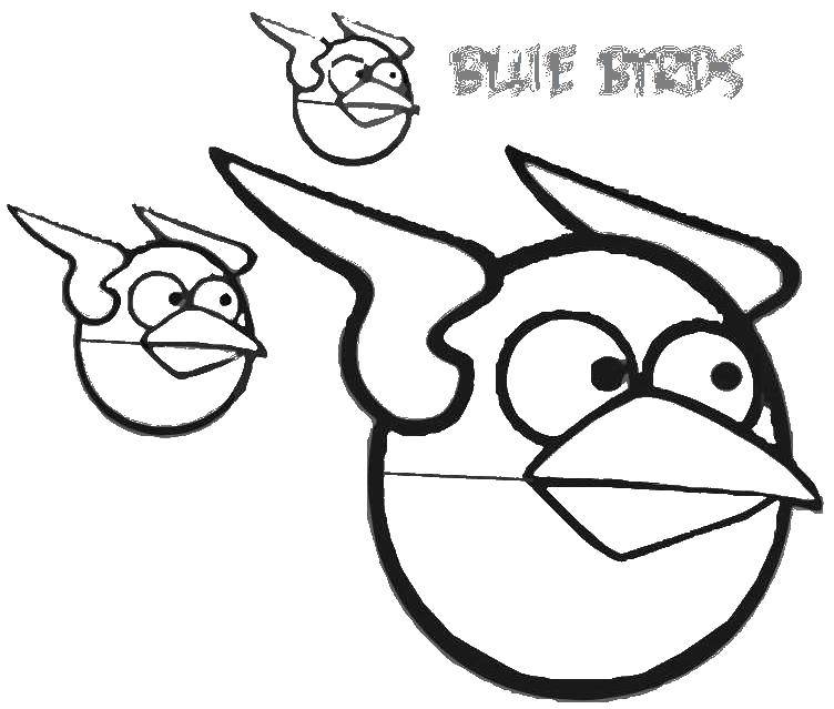 Раскраска Голубые птички Скачать ,Игры, Angry Birds ,.  Распечатать 