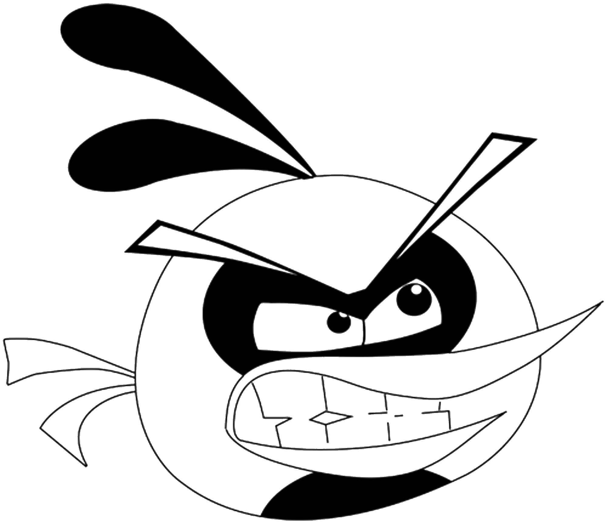 Раскраска Злая птичка Скачать ,Игры, Angry Birds ,.  Распечатать 