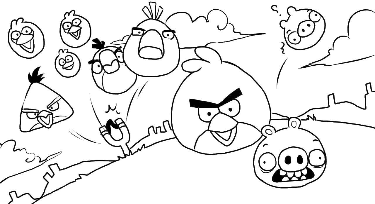 Раскраска  angry birds  Скачать ,Игры, Angry Birds ,.  Распечатать 