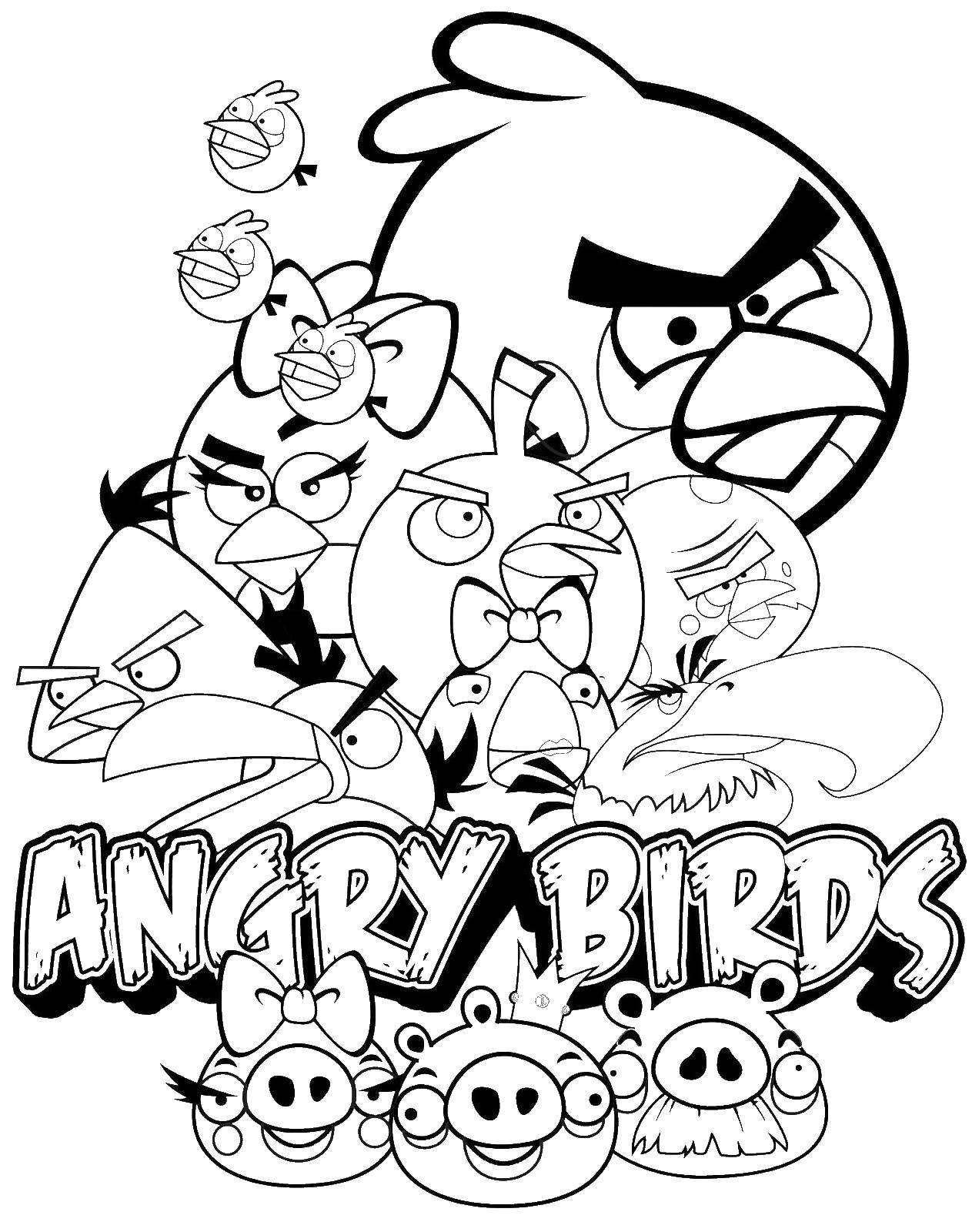 Название: Раскраска Энгри бердз. Категория: angry birds. Теги: энгри бердз.