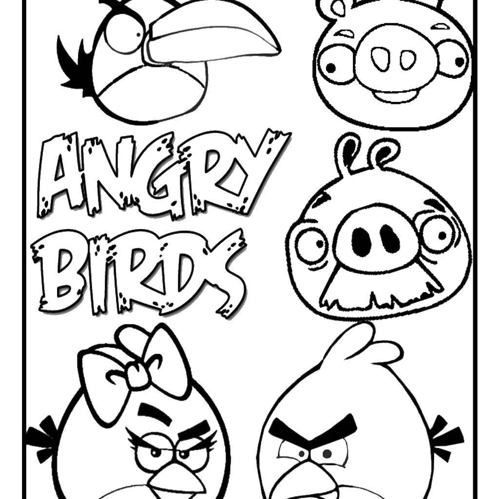Раскраска  angry birds  Скачать ,Игры, Angry Birds ,.  Распечатать 