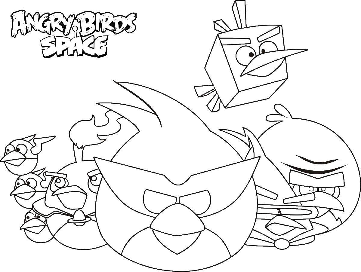 Название: Раскраска Энгри бердз в космосе. Категория: angry birds. Теги: энгри бердз, angry birds.