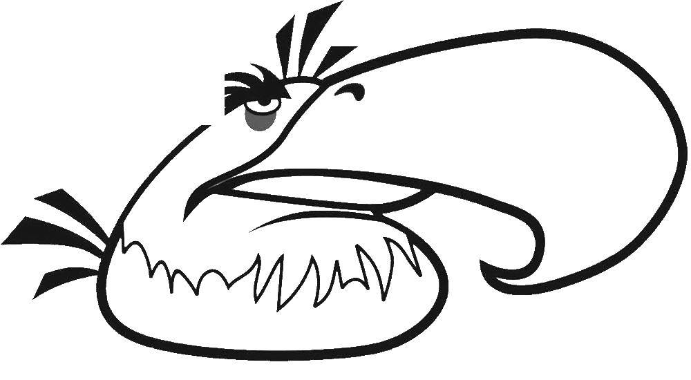 Название: Раскраска Энгри бердз. Категория: angry birds. Теги: энгри бердз, angry birds.