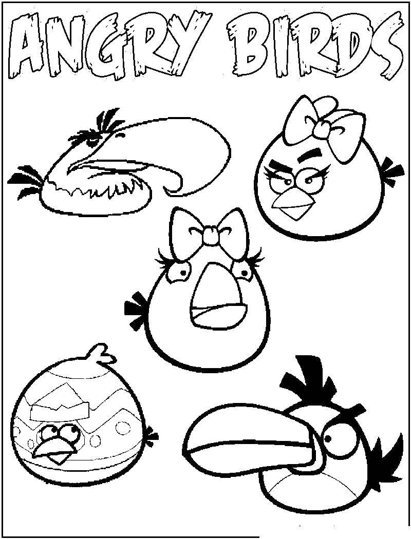 Название: Раскраска Энгри бердз. Категория: angry birds. Теги: энгри бердз, angry birds.
