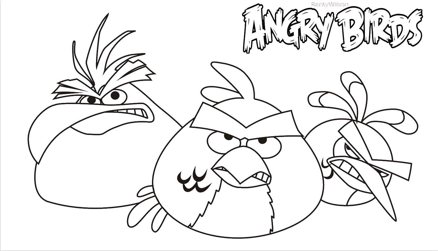 Название: Раскраска Птички из angry birds . Категория: angry birds. Теги: Игры, Angry Birds .