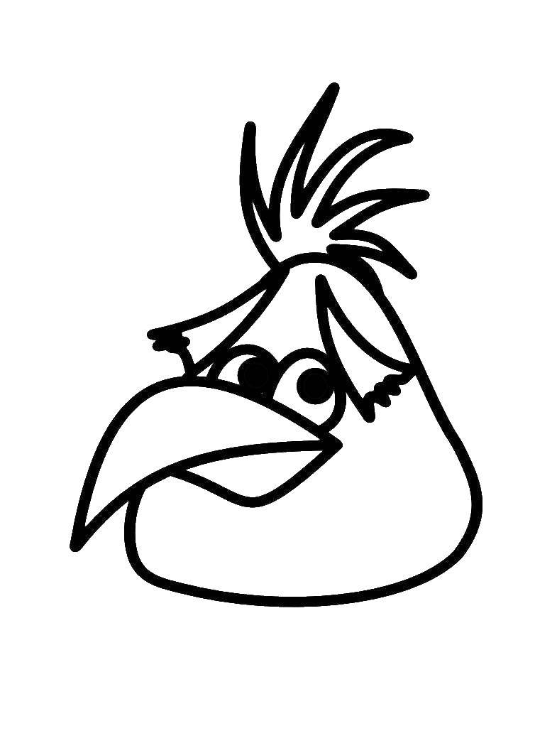 Название: Раскраска Птичка из angry birds . Категория: angry birds. Теги: Игры, Angry Birds .