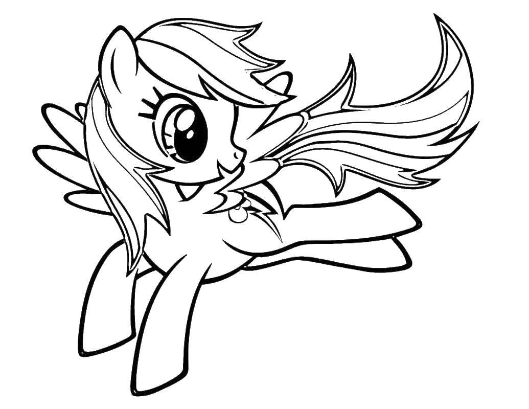 Название: Раскраска Пони. Категория: мой маленький пони. Теги: Пони, My little pony .