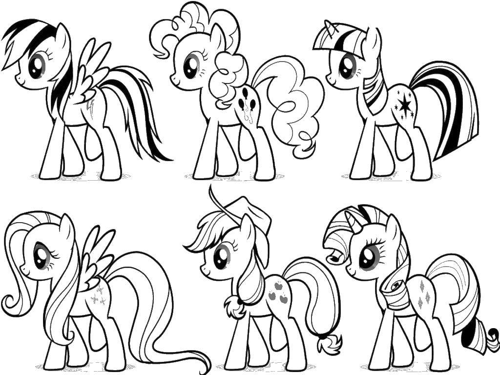 Название: Раскраска Пони из my little pony . Категория: мой маленький пони. Теги: Пони, My little pony .