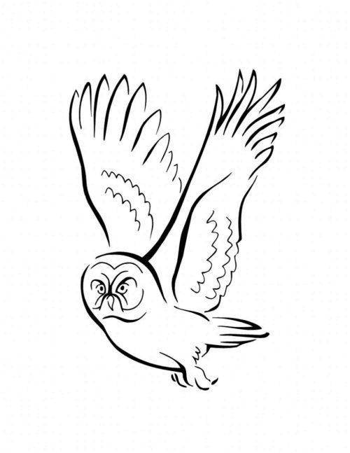 Название: Раскраска Летящая сова. Категория: птицы. Теги: Птицы, сова.