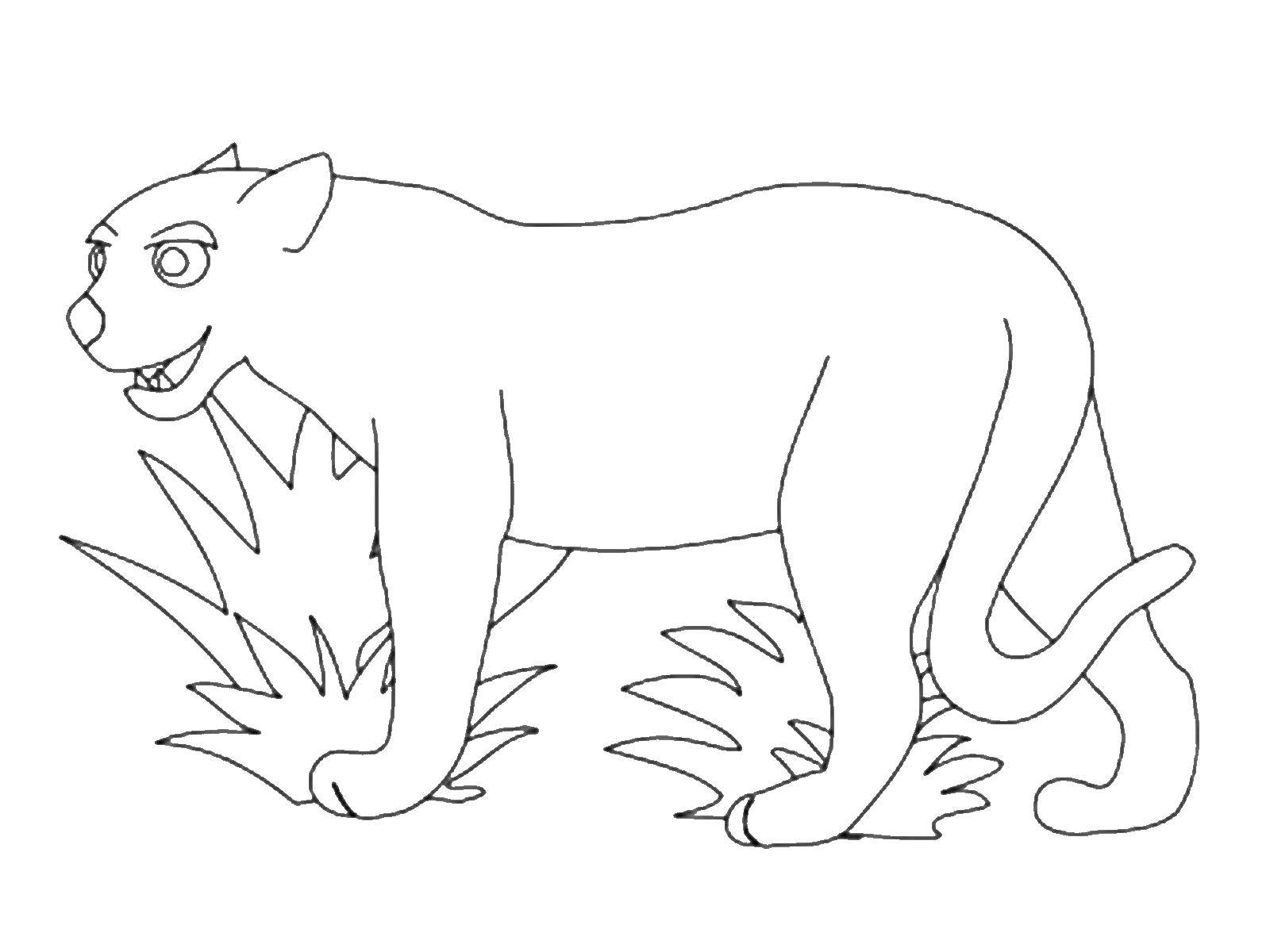 Название: Раскраска Пантера. Категория: Животные. Теги: Животные, пантера.