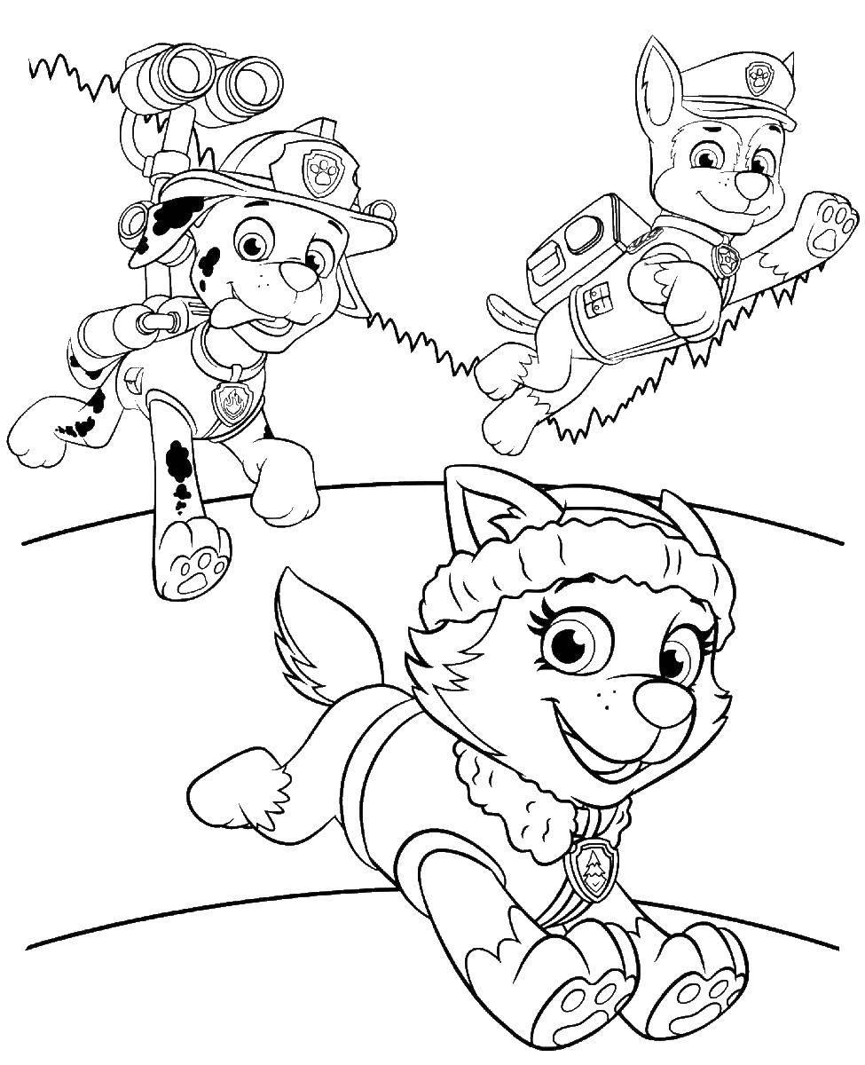 Название: Раскраска Щенячий патруль спешит на помощь. Категория: щенячий патруль. Теги: Щенячий патруль, Зума, Рокки.