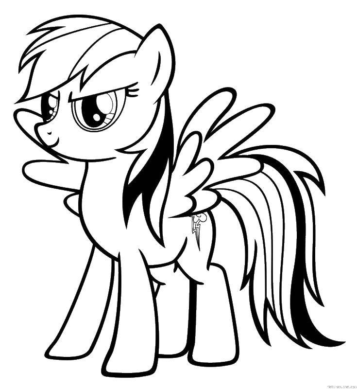 Раскраска Пони из my little pony  Скачать ,Пони, My little pony ,.  Распечатать 