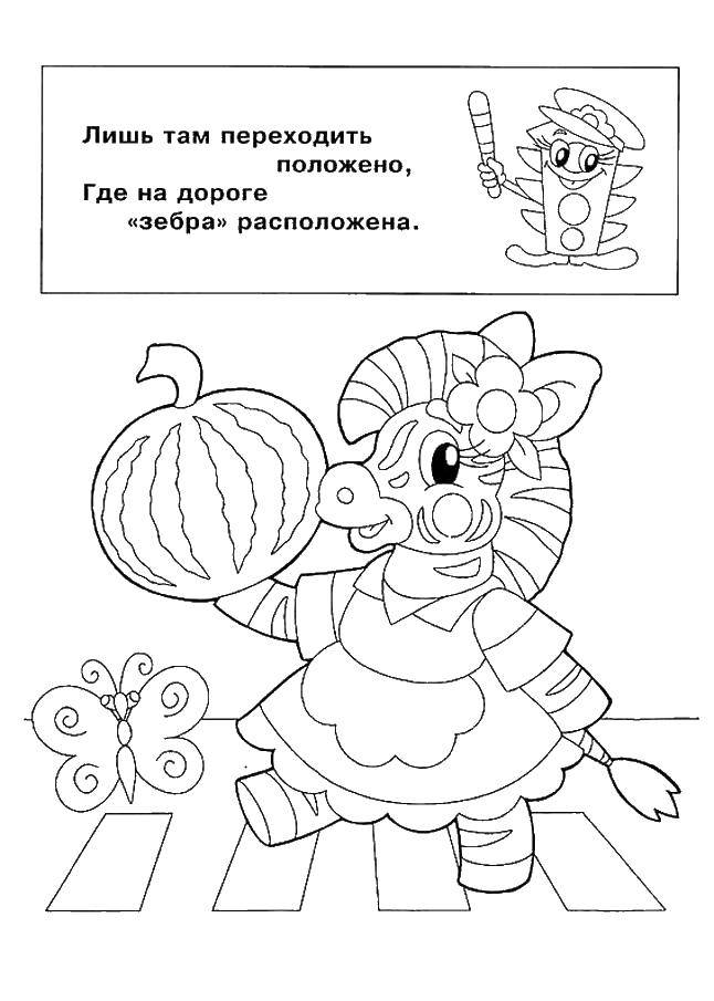 Раскраска Зебра с арбузом по дороге идет Скачать ,зебра, арбуз,.  Распечатать 