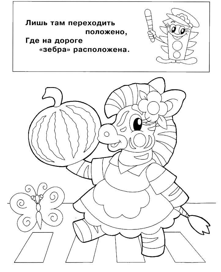 Раскраска Зебра Скачать ,зебра,арбуз,.  Распечатать 