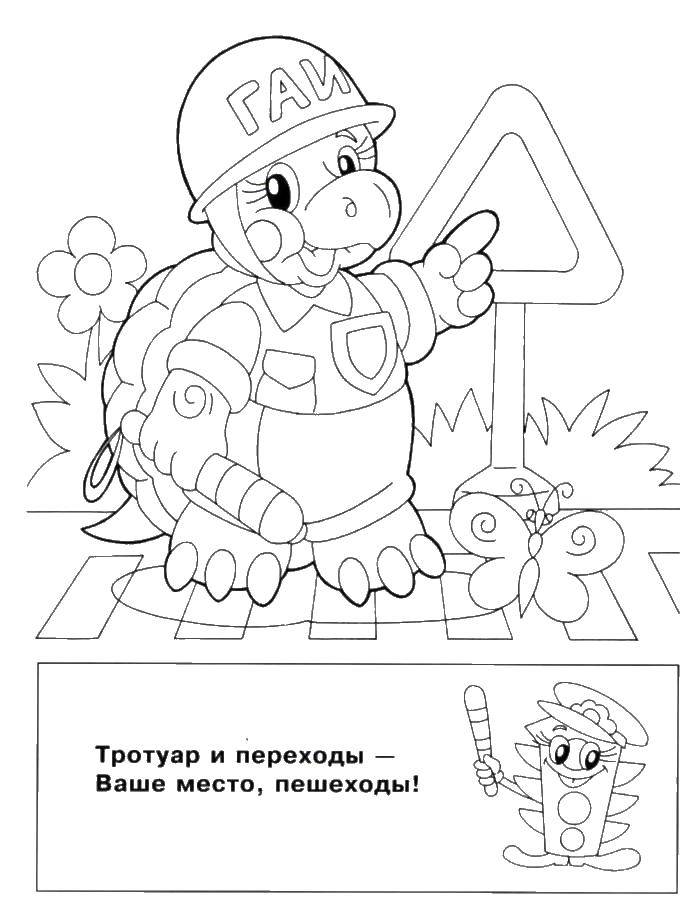 Название: Раскраска Гай черепаха. Категория: правила дорожного движения. Теги: черепаха, гай.