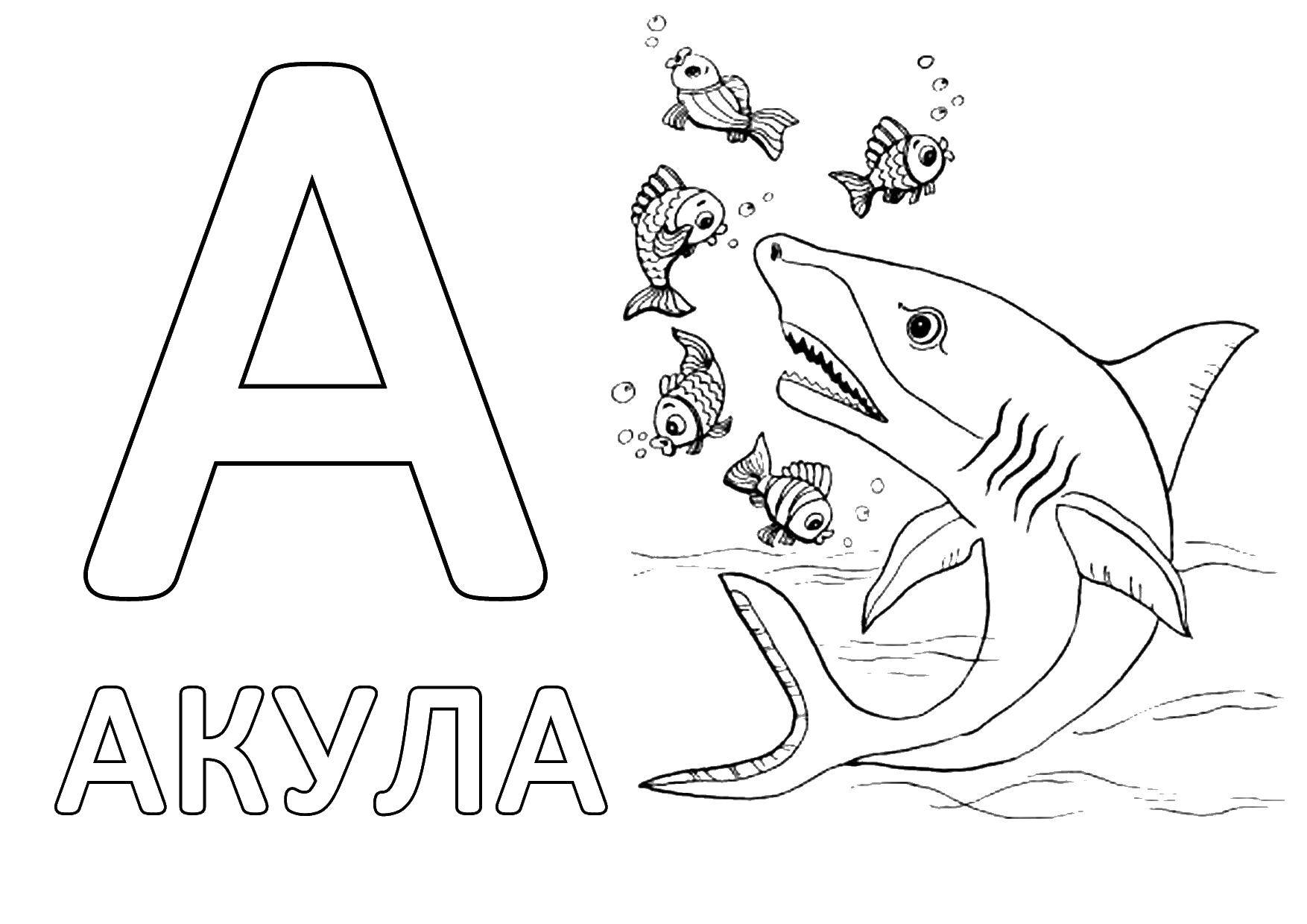 Раскраска Акула Скачать ,акула, буквы,.  Распечатать 