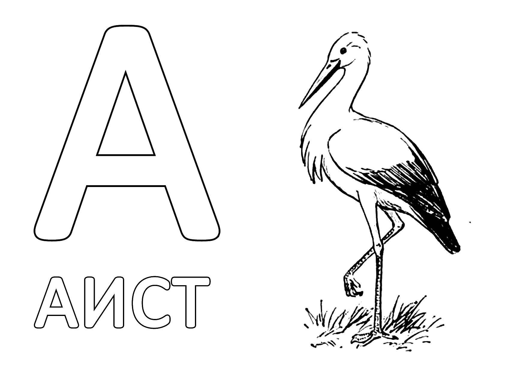 Название: Раскраска Аист. Категория: буквы. Теги: аист, буквы.