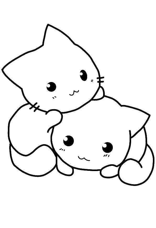 Раскраска Два милых котенка Скачать ,Животные, котята,.  Распечатать 
