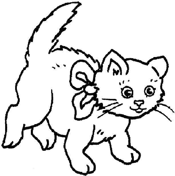 Раскраска Игривый котенок Скачать ,животные, котенок, кошка,.  Распечатать 