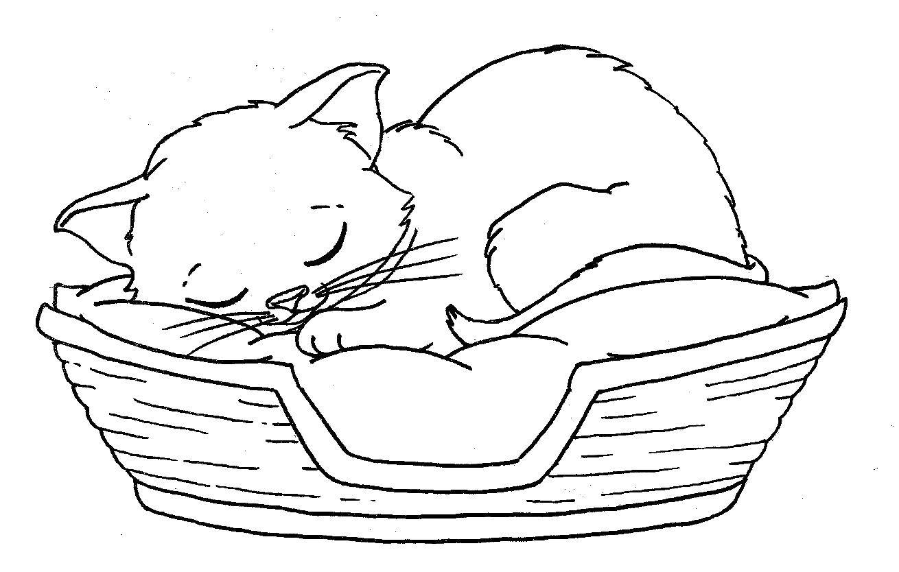 Раскраска Кошка спит в корзинке Скачать ,животные, котенок, кошка,.  Распечатать 