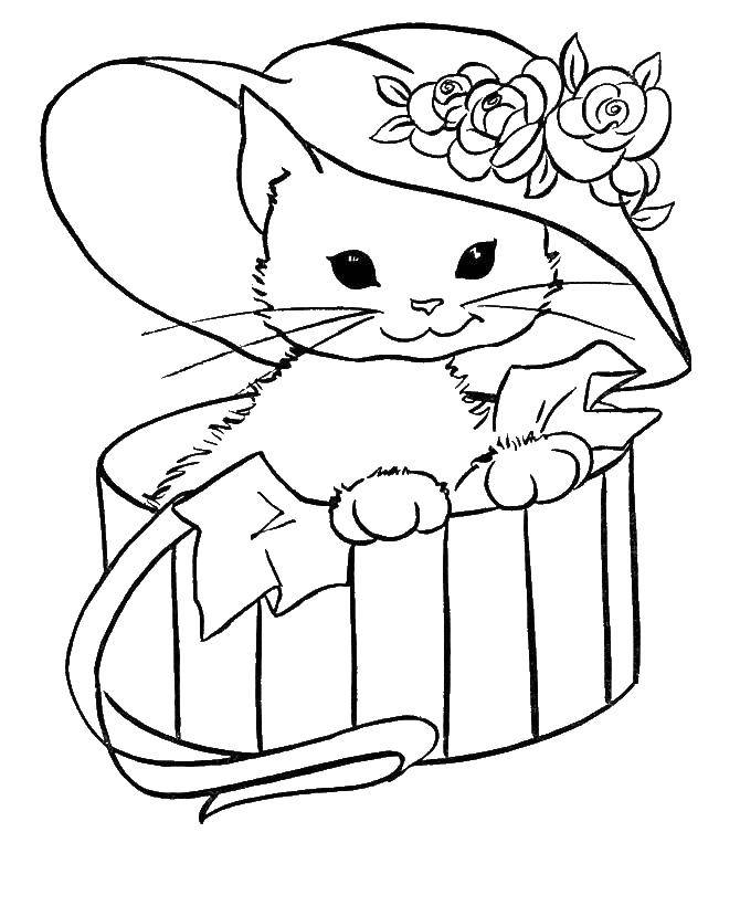 Раскраска Котенок в шляпе Скачать ,животные, котенок, кошка, шляпа,.  Распечатать 