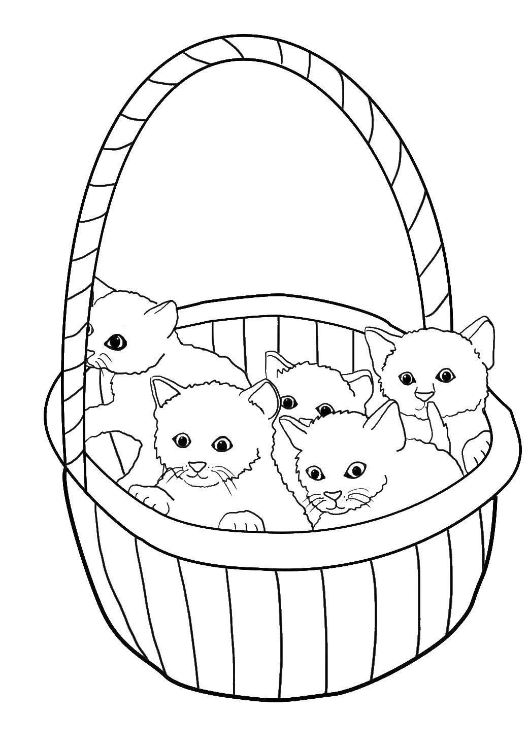 Раскраска Корзинка с котятами Скачать ,Животные, котята, корзинка,.  Распечатать 