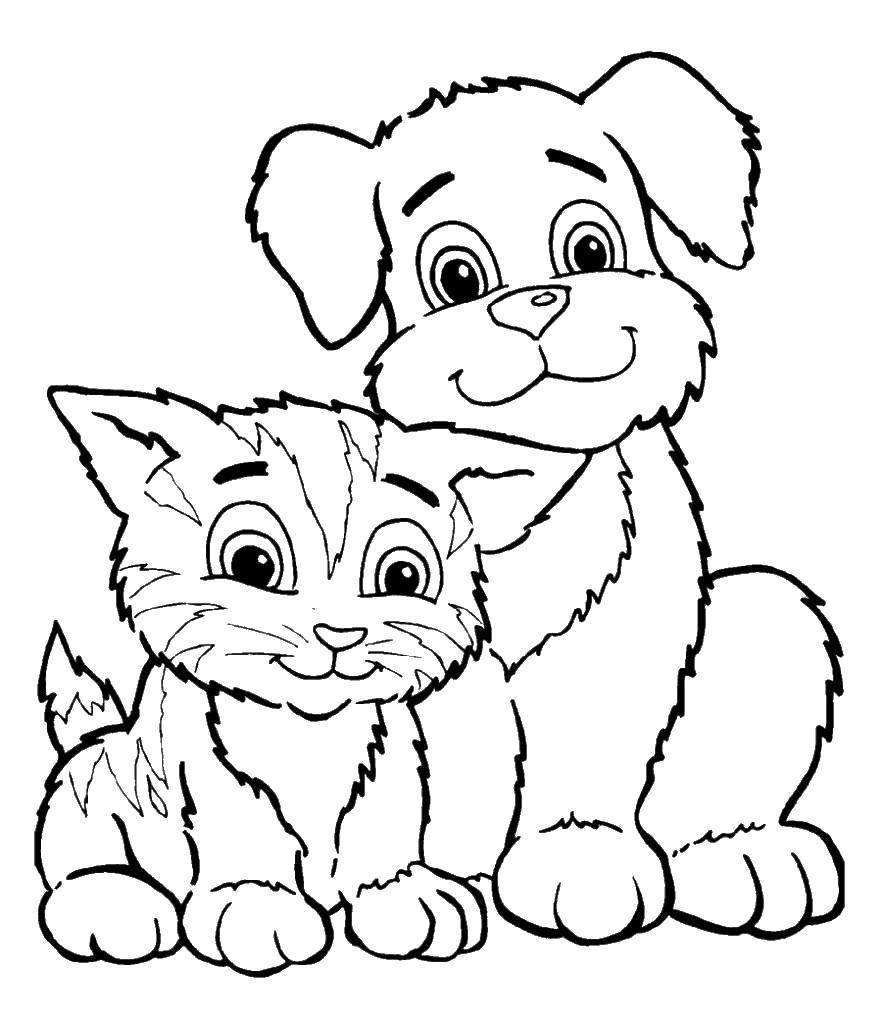 Раскраска Котёнок и щеночек Скачать ,Животные, котёнок, щенок,.  Распечатать 