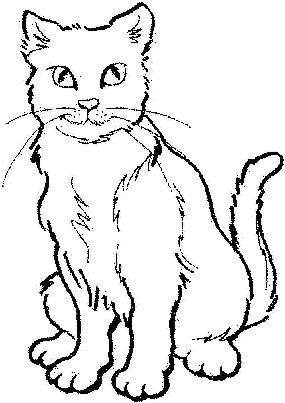 Раскраска Котик Скачать ,животные, котенок, кошка, кот,.  Распечатать 