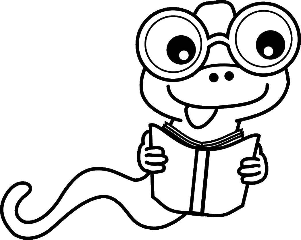Название: Раскраска Змей с книжкой. Категория: Животные. Теги: животные, змей.