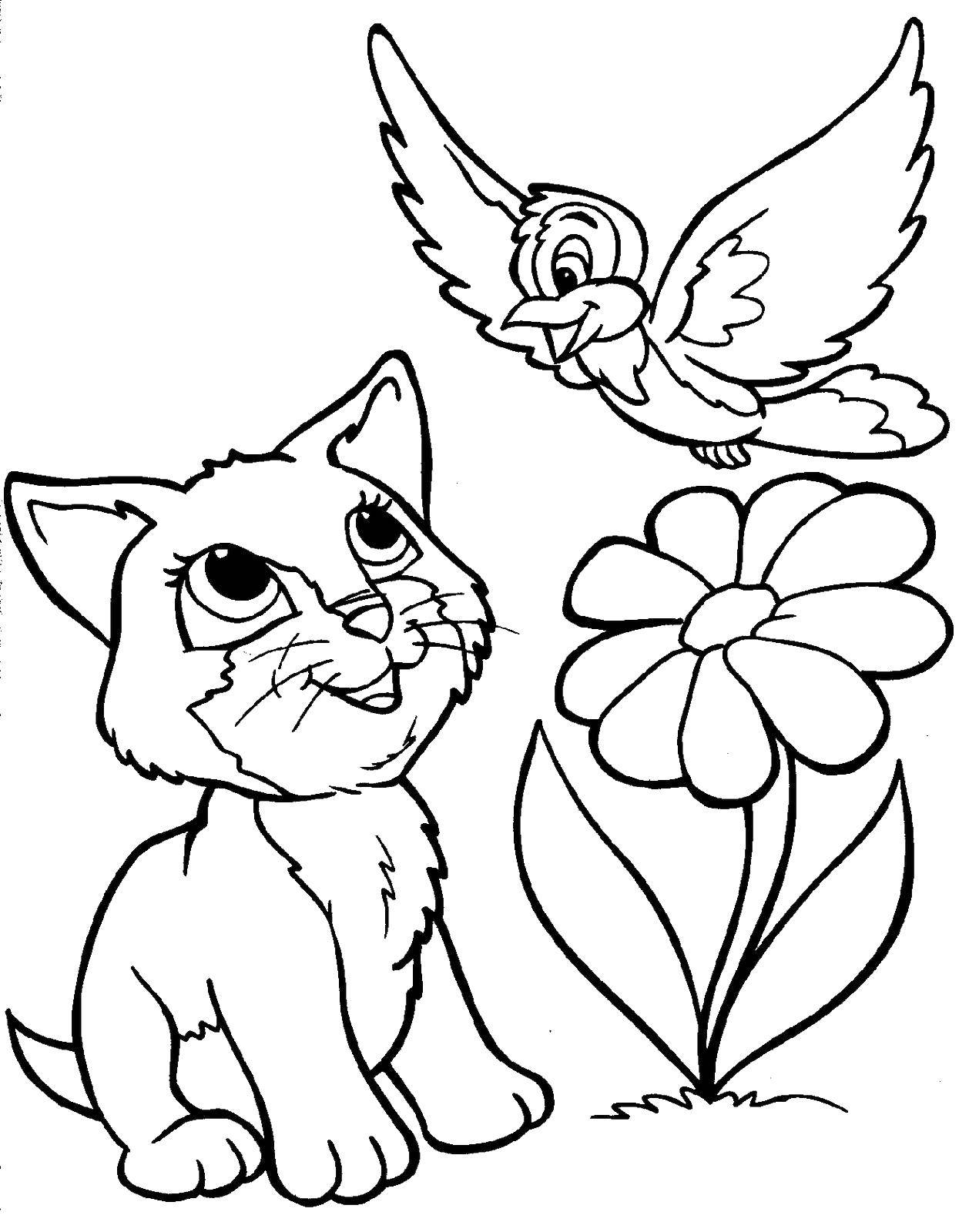 Название: Раскраска Котёнок увидел птичку. Категория: животные. Теги: Животные, котёнок.