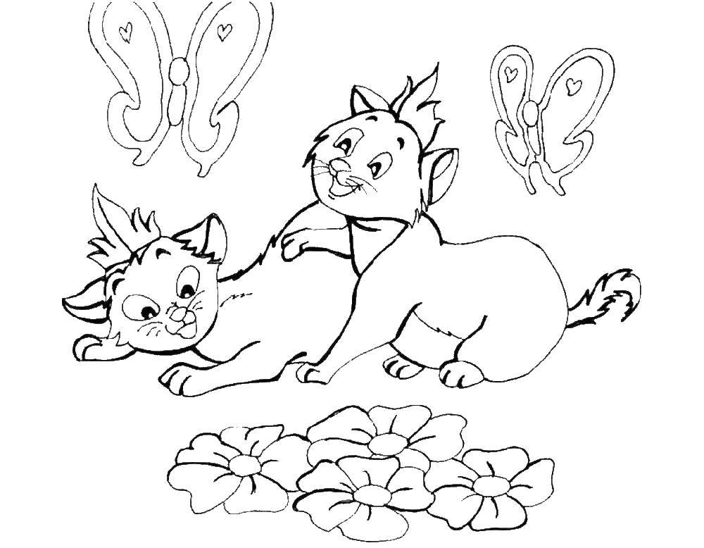 Раскраска Котята играют Скачать ,кошка, котята,.  Распечатать 