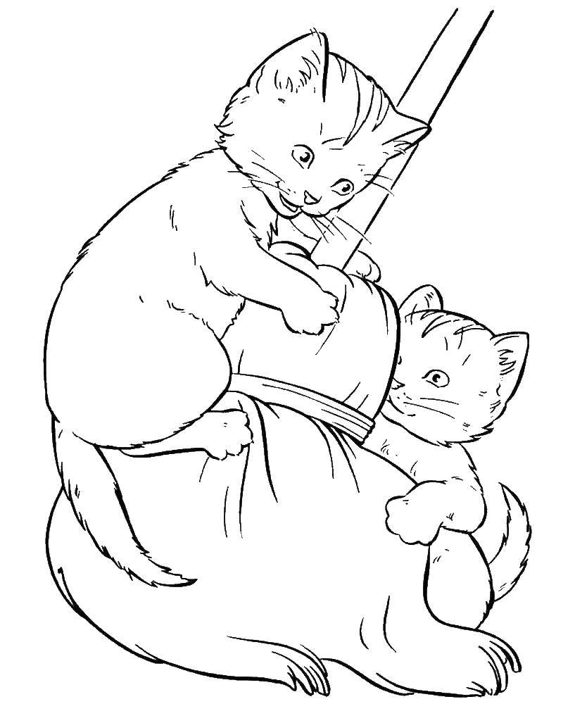 Раскраска Котята играют с метлой Скачать ,кошка, котята,.  Распечатать 