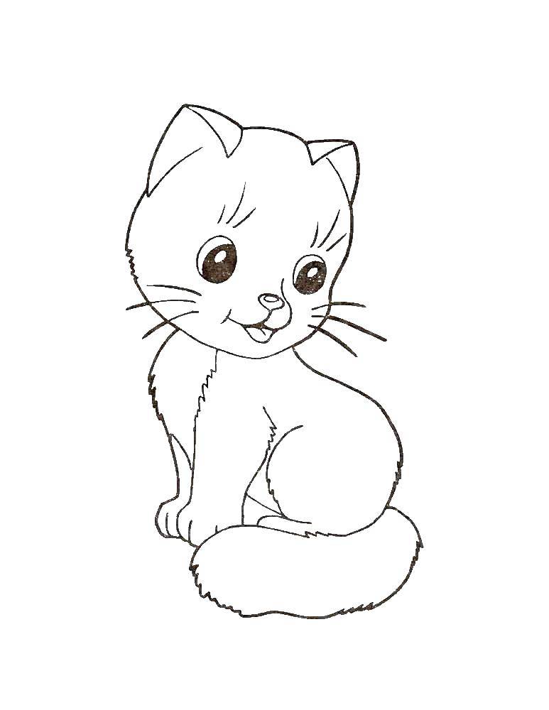 Название: Раскраска Кошечка. Категория: Кошка. Теги: кошка, котята.