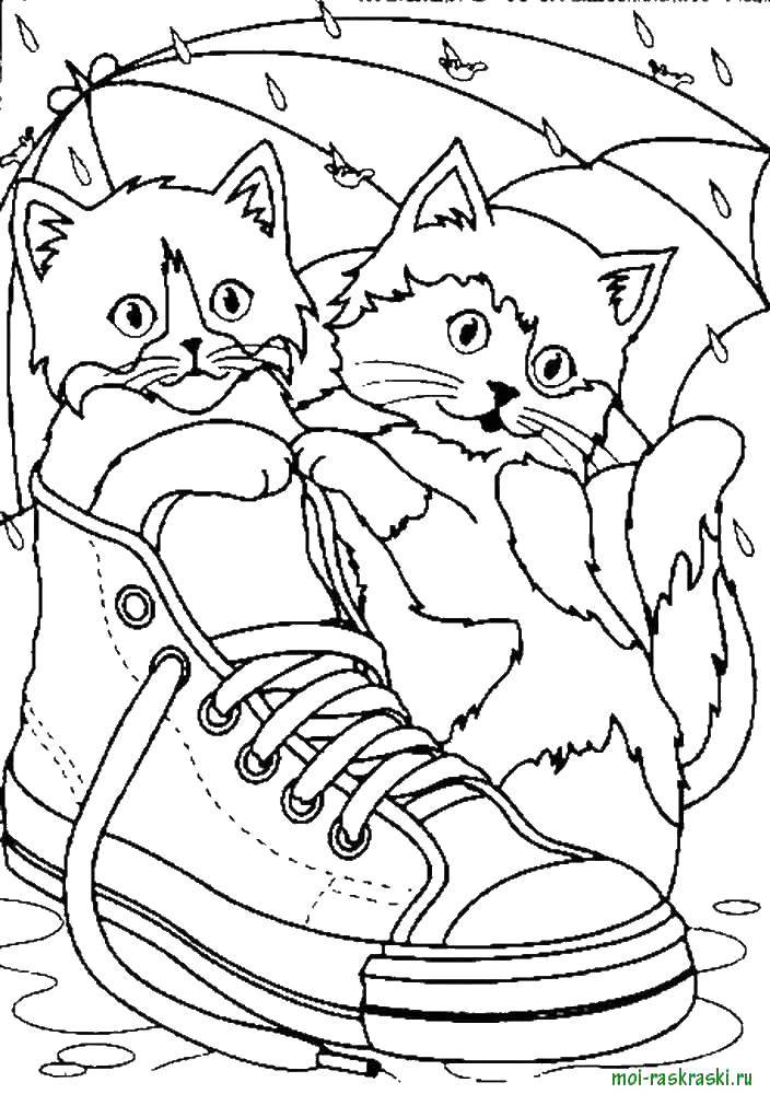 Название: Раскраска Котята играют под дождем. Категория: Кошка. Теги: кошка, котята.